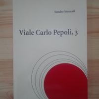 Viale Carlo Pepoli, 3 - S. Serenari, 2003 Libro