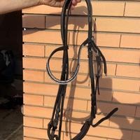 testiera equitazione equestro