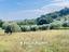 Immagine 27