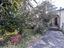 Immagine 23