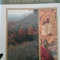 i sentieri di santa Maria in bagno (di Romagna)