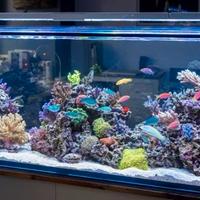 acquario in vetro extrachiaro 10mm.  nuovo 