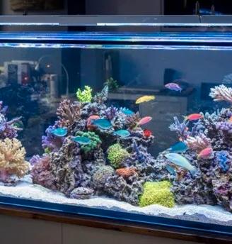 acquario in vetro extrachiaro 10mm.  nuovo 