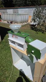 soffia semi