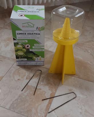 Attrattivo per cimice