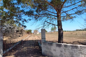 terreno agricolo di 2200mq con piccolo annesso 