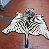 Tappeto Zebra importato dall'Africa
