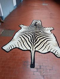 Tappeto Zebra importato dall'Africa