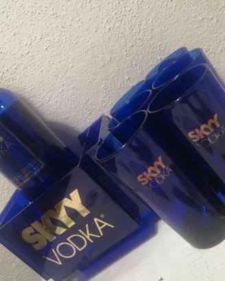 6 bicchieri +vodka skyy + bar organizer (leggi)
