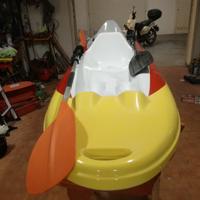 Canoa biposto con motore