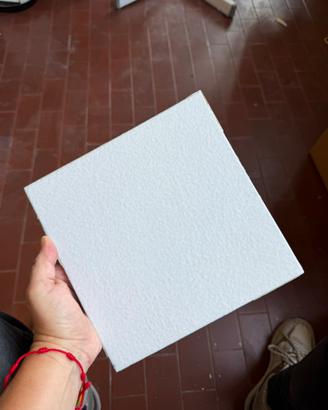 Piastrelle 20x20 bianche