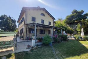 Appartamento - Ripatransone