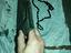 Immagine 5