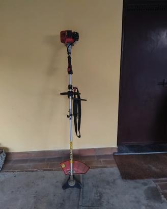 decespugliatore 