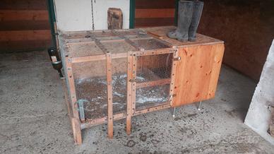 gabbia per galline 