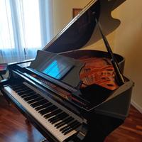 pianoforte  Schimmel, C 189 Tradition