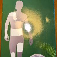 NUOVO Corsetto Dorsolombare con Spallacci GIBAUD