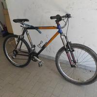 MTB bici