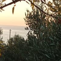 Terreno Edificabile Trebisacce