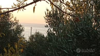 Terreno Edificabile Trebisacce