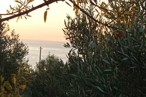 Terreno Edificabile Trebisacce