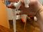 Immagine 2
