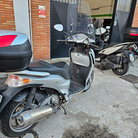 Malaguti password 250