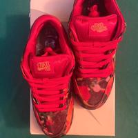 Nike Dunk Low the Wizard of Oz Poppy Field