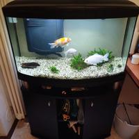 acquario completo 150L