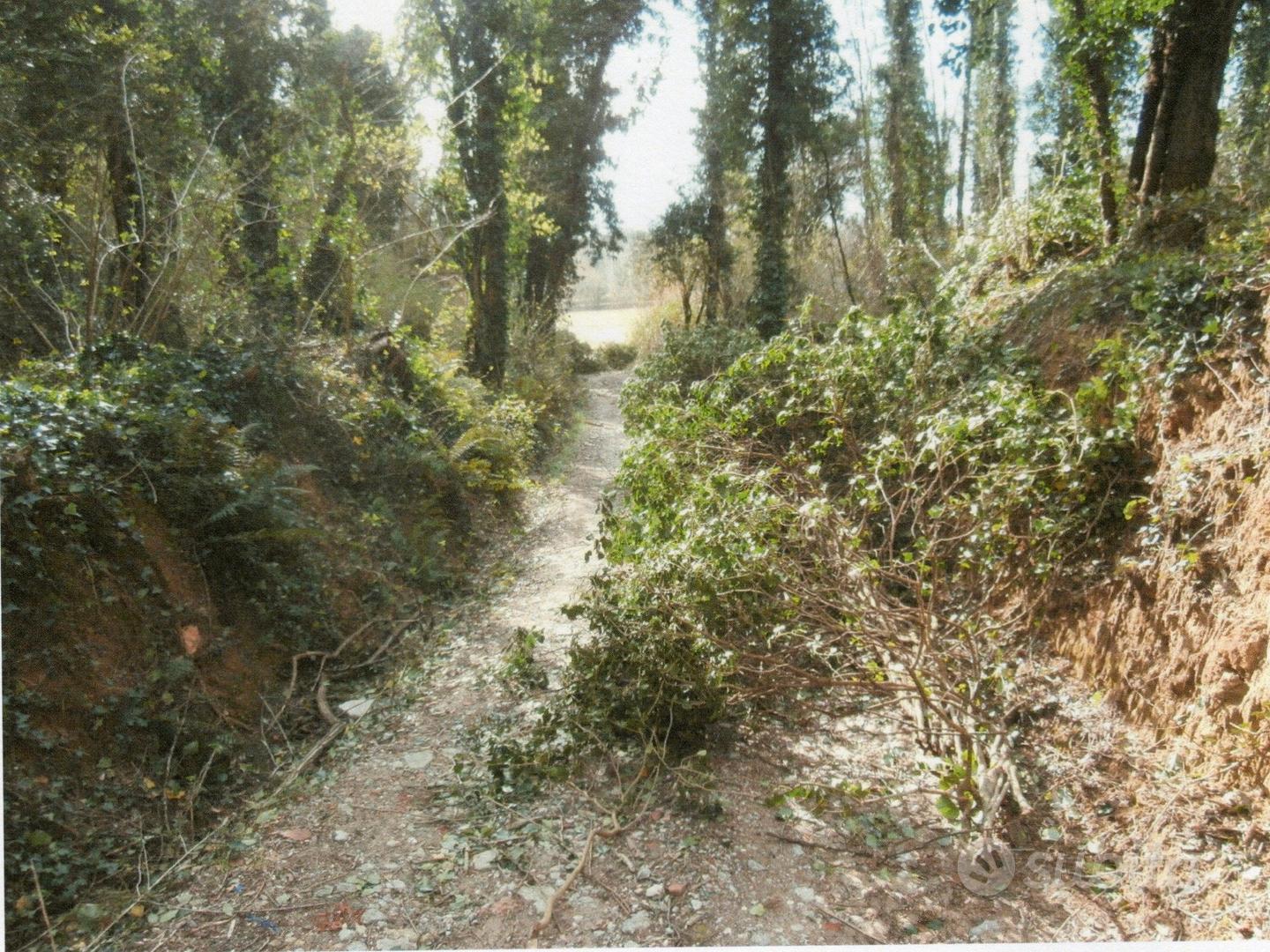 Terreno agricolo incolto a Casciana Terme di Lari - Vista 2