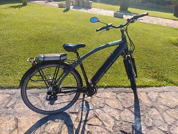 bici elettrica Kawasaki 