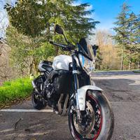 Yamaha FZ1 2014