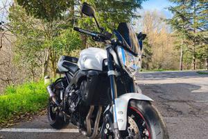 Yamaha FZ1 2014