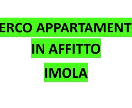 Cerco appartamento in affitto