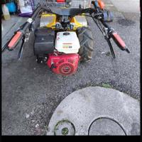 Trincia sermenti Pasquali ( uguale a bcs630ws max)