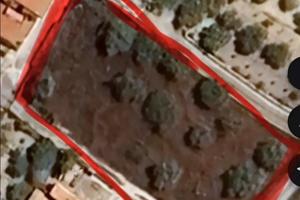 Terreno agricolo in contrada pioppitello/ crocca