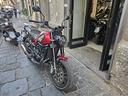 benelli-leoncino-500-2020