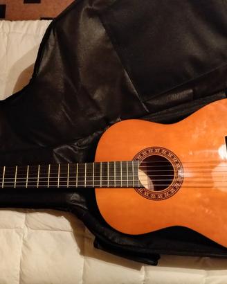 chitarra con custodia 
