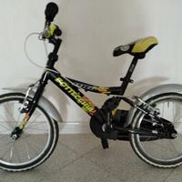 bici Bottecchia