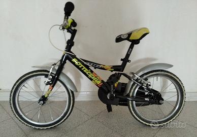 bici Bottecchia