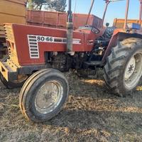Trattore fiat 80-66