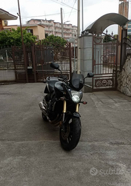 Honda Hornet