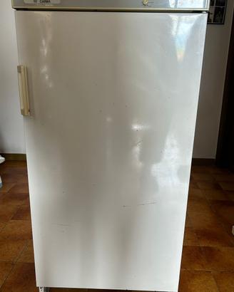 Congelatore Frezeer