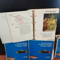 Enciclopedia a schede pesci esotici e piante
