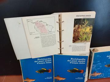 Enciclopedia a schede pesci esotici e piante