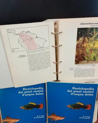 Enciclopedia a schede pesci esotici e piante