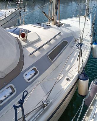 Imbarcazione a vela Dehler 36 CWS