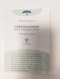 Gerusalemme dove volano i poeti - V. Arnone