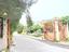 Immagine 11