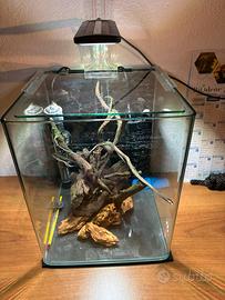 Acquario completo
